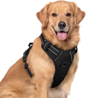 rabbitgoo Dog Harness No Pull with ...