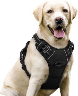 rabbitgoo Dog Harness No Pull with ...
