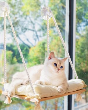 Cat Window Perch with Industrial-Gr...