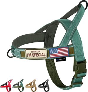 Annchwool No Pull Dog Harness with ...
